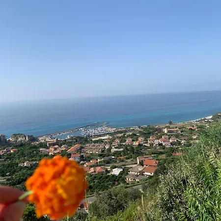 Amare House Guest house 3*